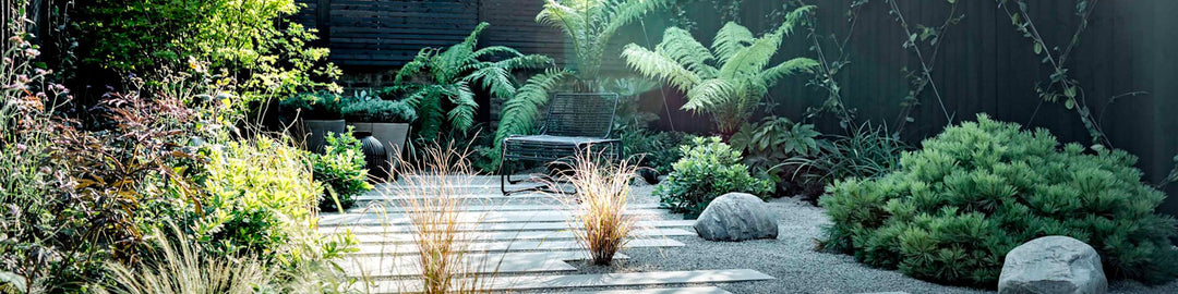 Designing Low-Maintenance Gardens and Terraces