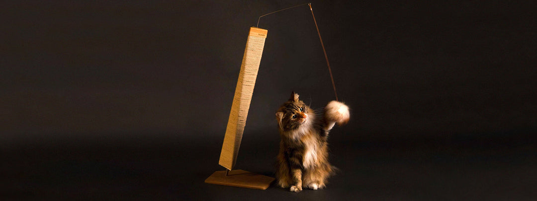 Scratching Posts - Design Italy