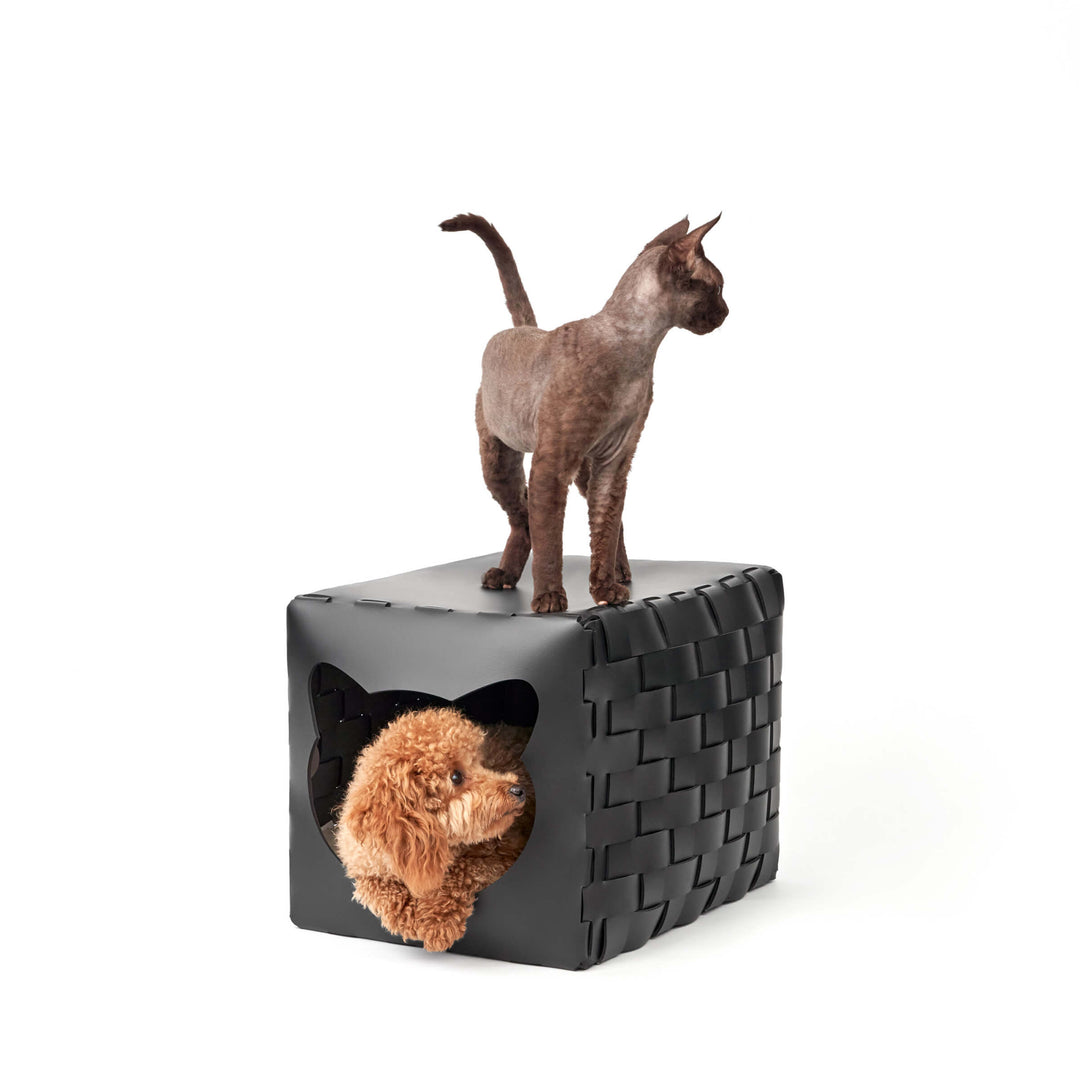 Cuccia in Pelle per Animali HOUSE FOR PET di Ekaterina Borovkova per ADJ STYLE