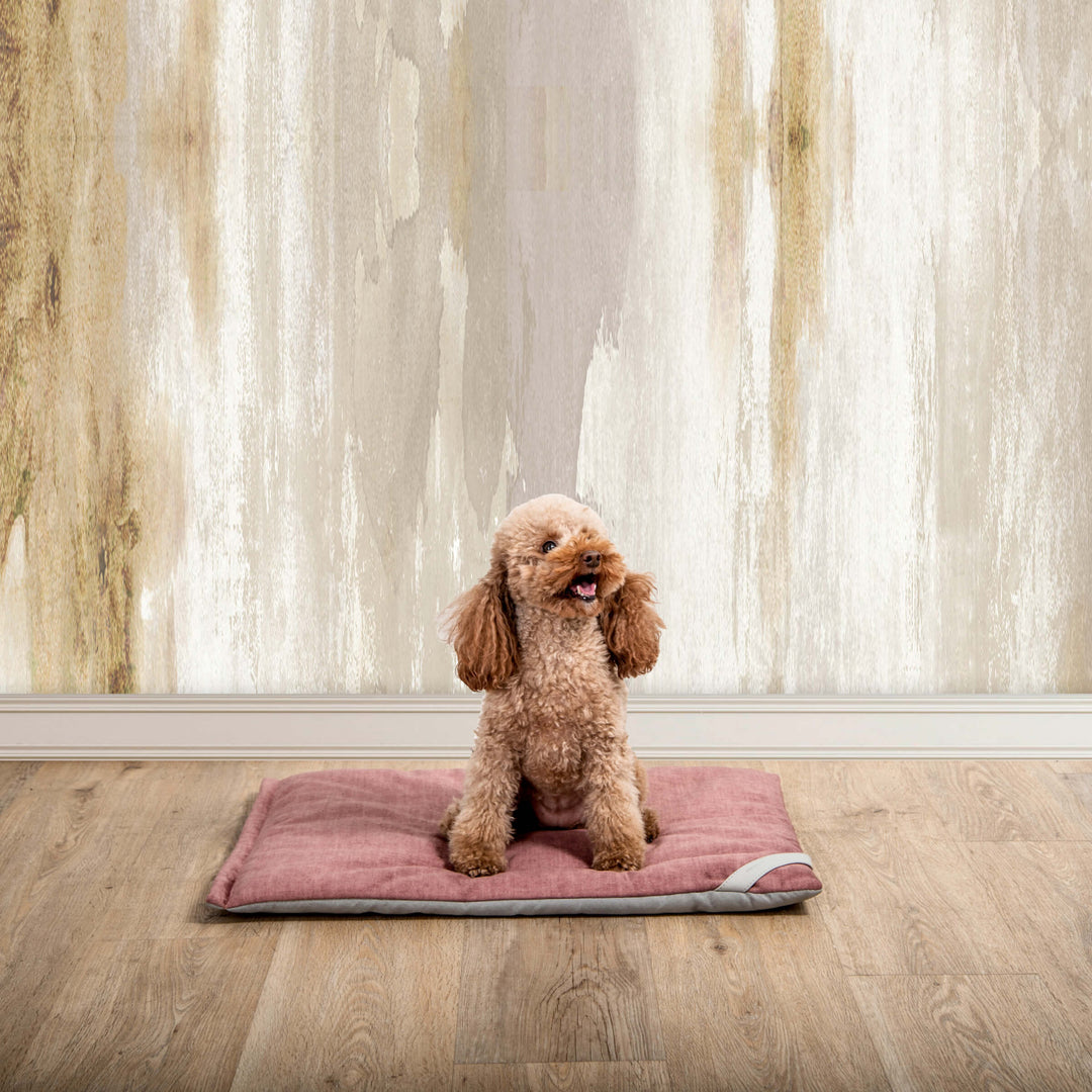 Cuscino per Animali FILIFORM di Valeria Pompa per Labilla