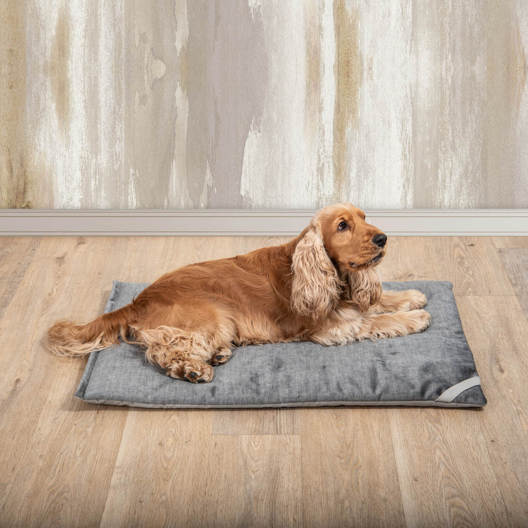 Cuscino per Animali FILIFORM di Valeria Pompa per Labilla