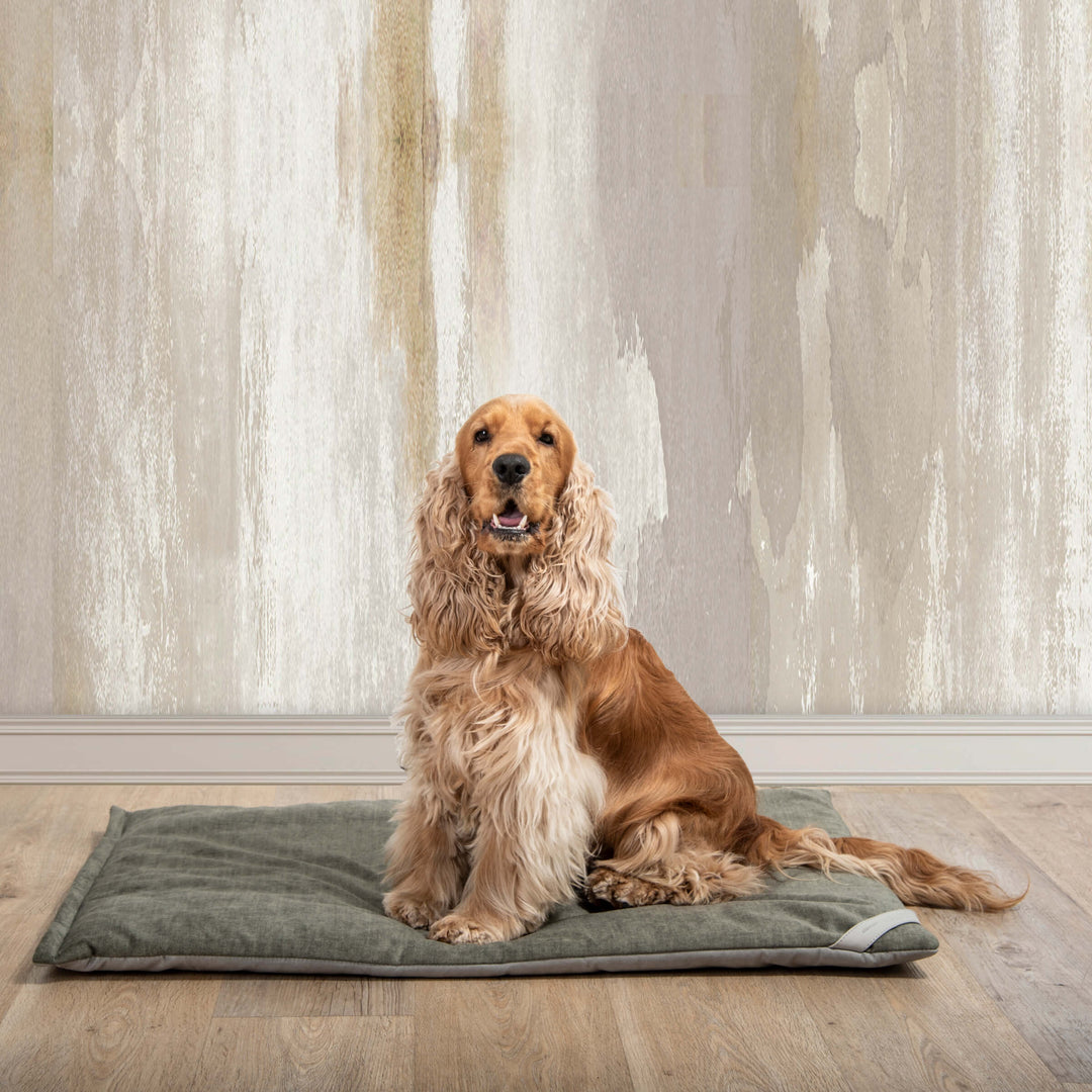 Cuscino per Animali FILIFORM di Valeria Pompa per Labilla