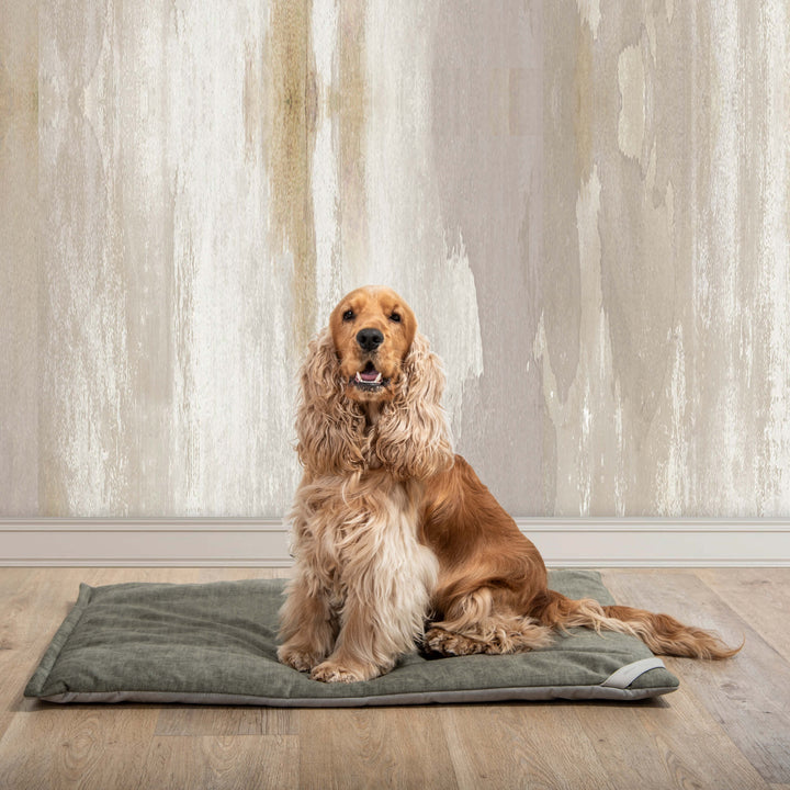 Cuscino per Animali FILIFORM di Valeria Pompa per Labilla