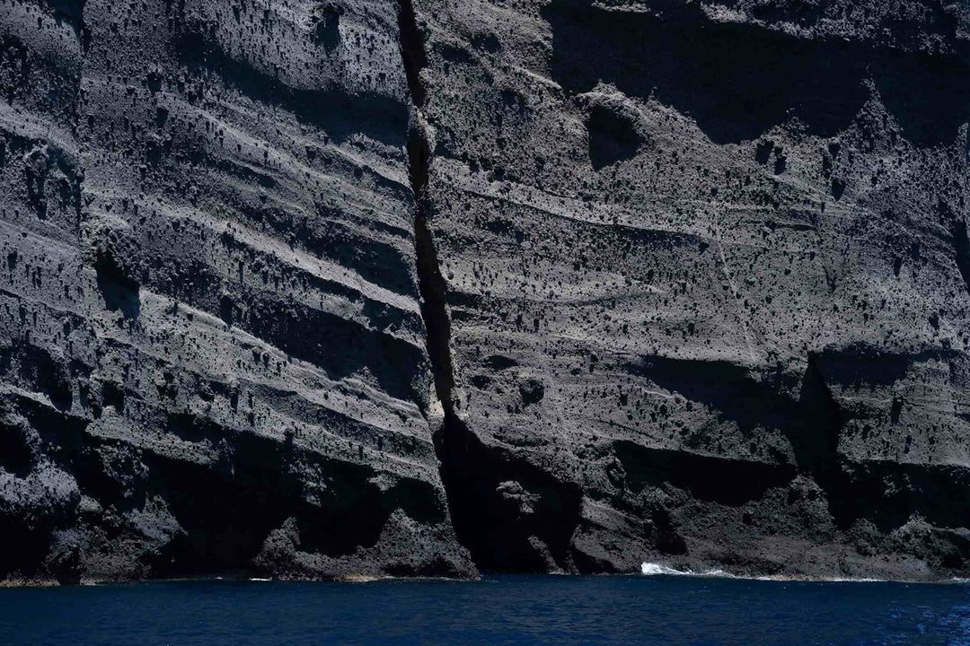 TERRA 2 - Marco Trevisan - 2024