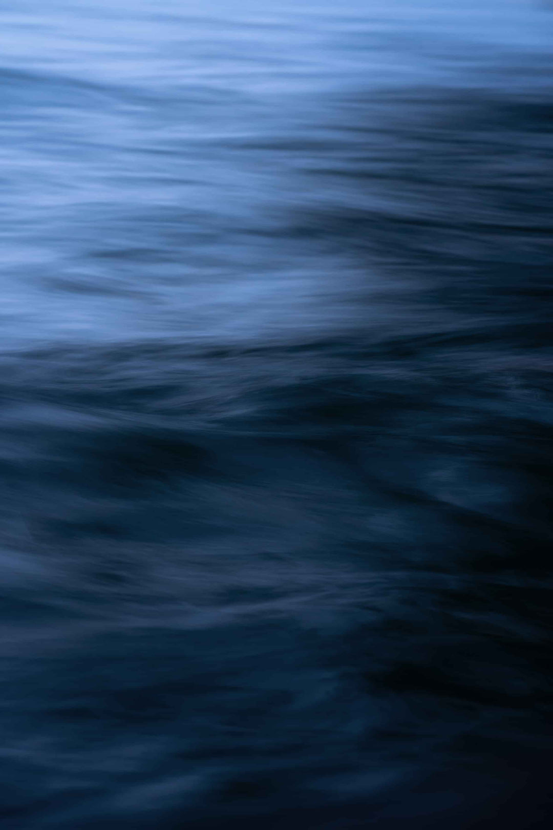 WAVE 5 - Marco Trevisan - 2024