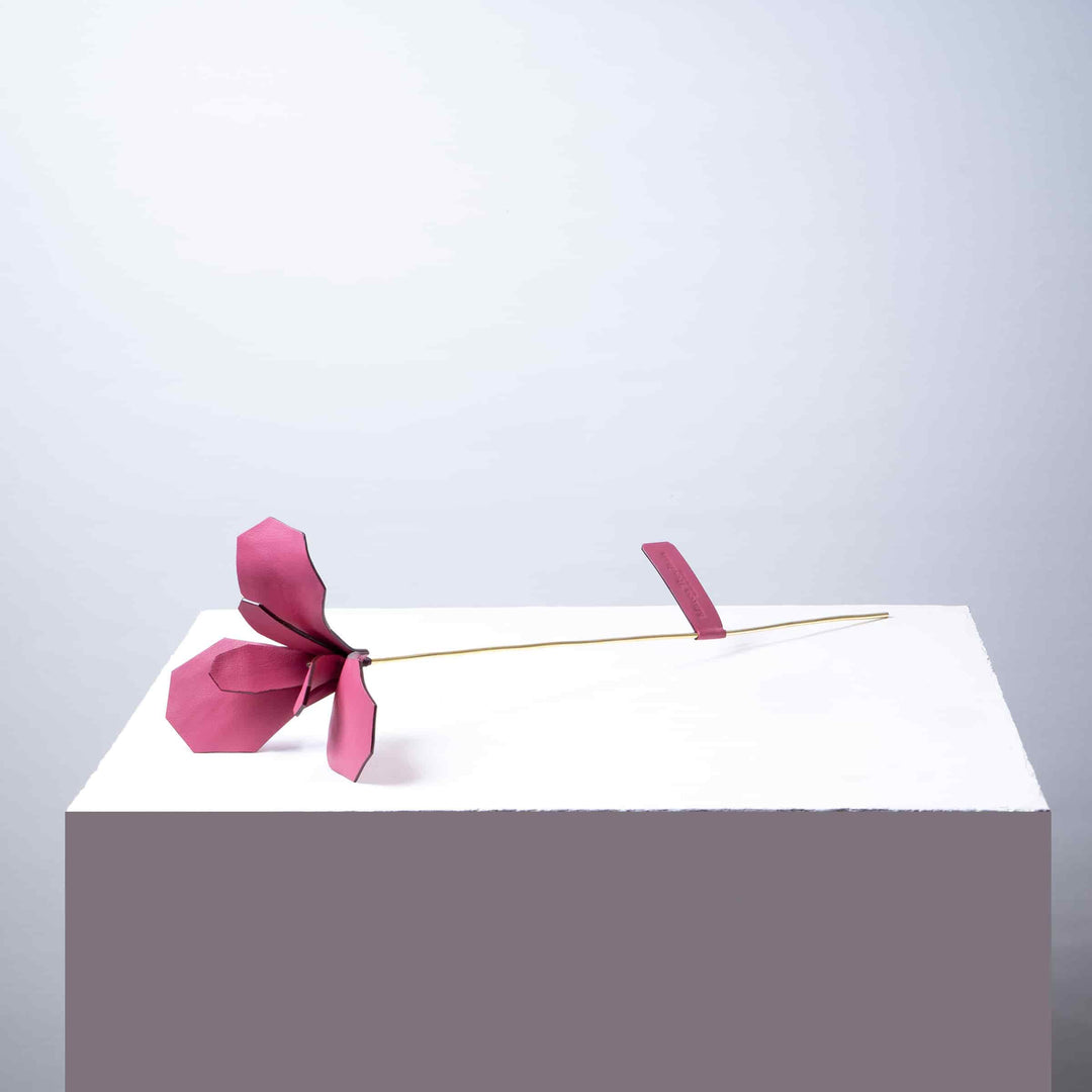 Leather Decorative Object ÈDEN by MARCO Atelier