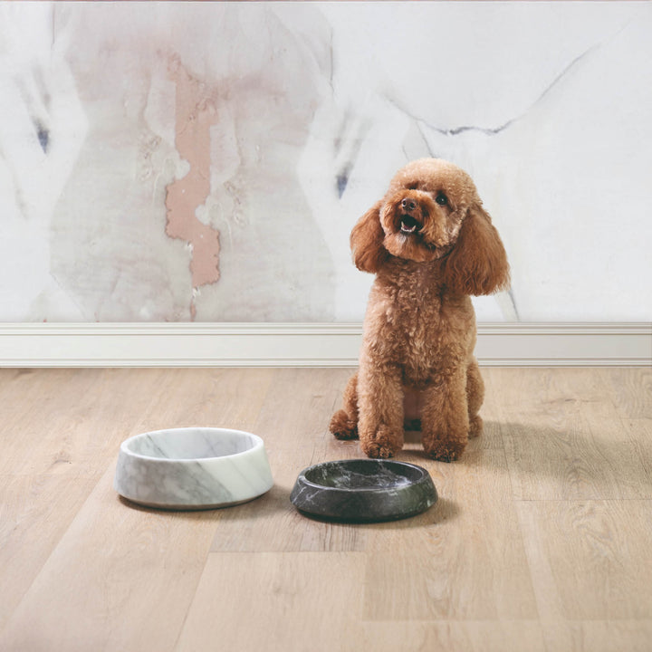 Ciotola per Animali in Marmo GEMS ONE di Valeria Pompa per Labilla