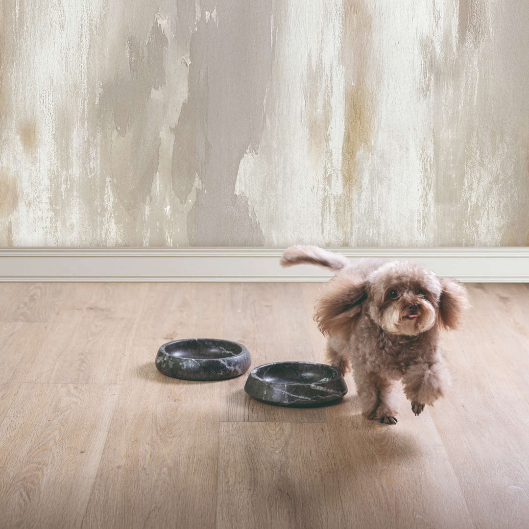 Ciotola per Animali in Marmo GEMS ONE di Valeria Pompa per Labilla