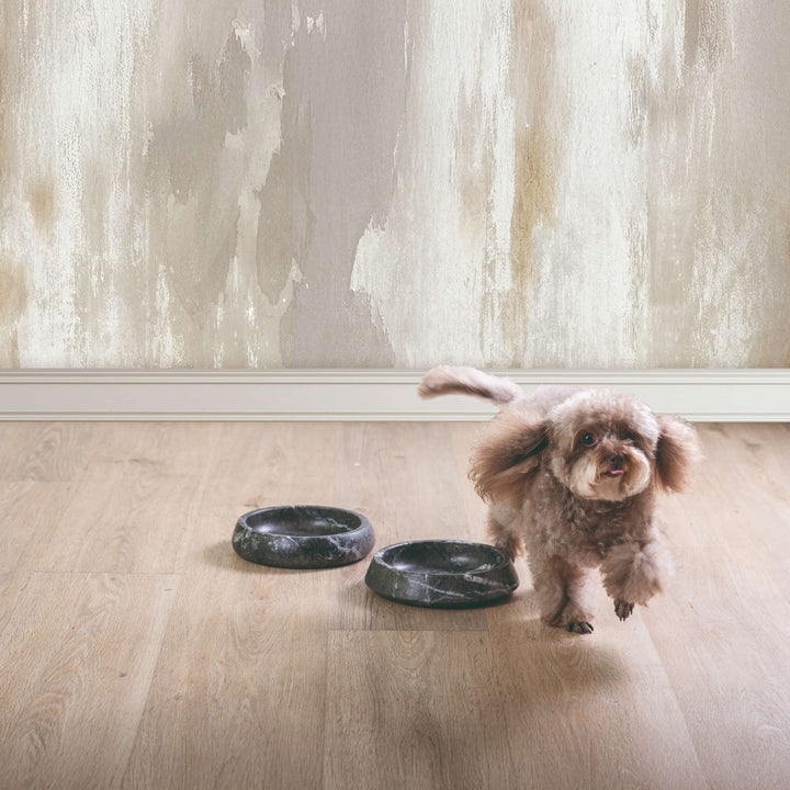 Ciotola per Animali in Marmo GEMS ONE di Valeria Pompa per Labilla