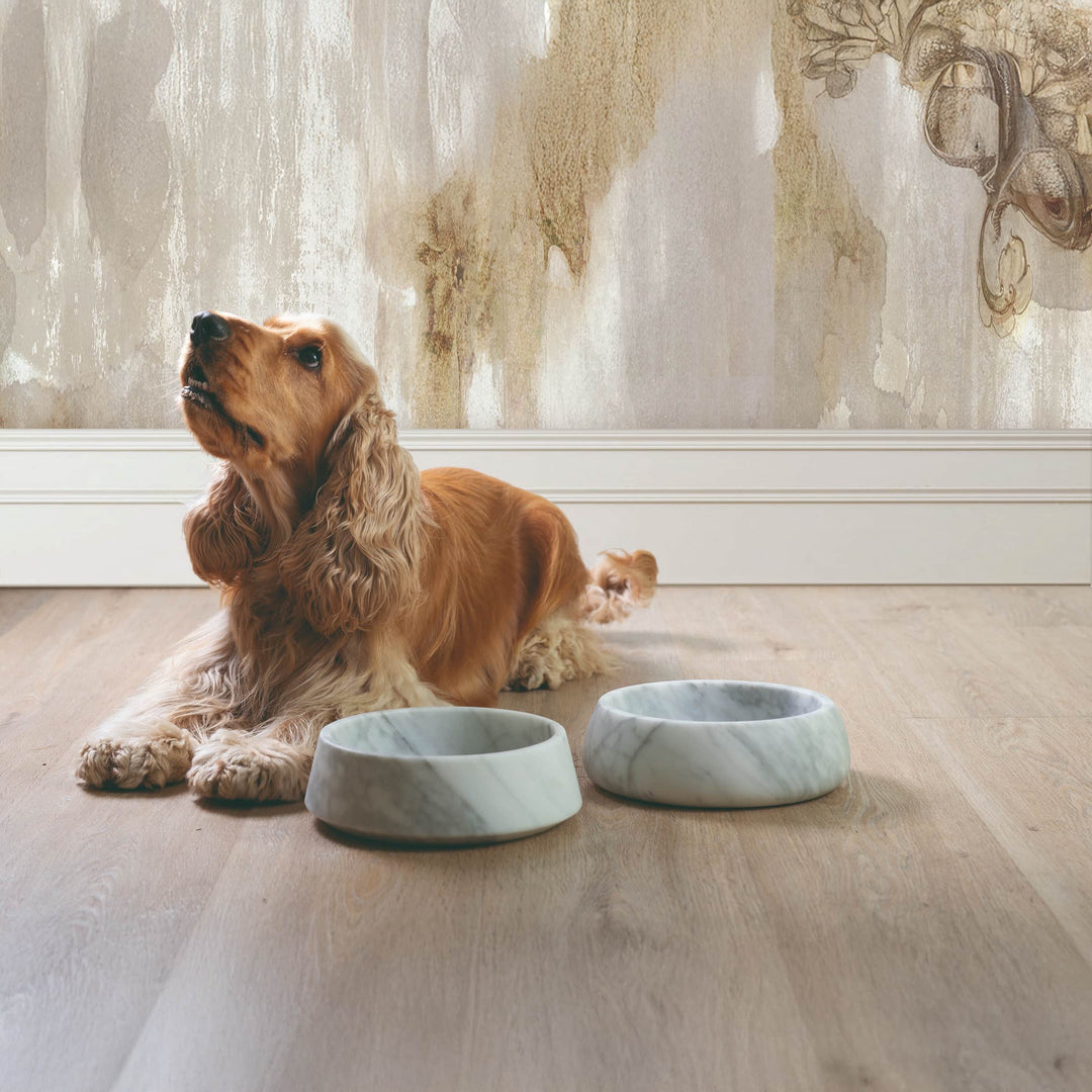 Ciotola per Animali in Marmo GEMS ONE di Valeria Pompa per Labilla