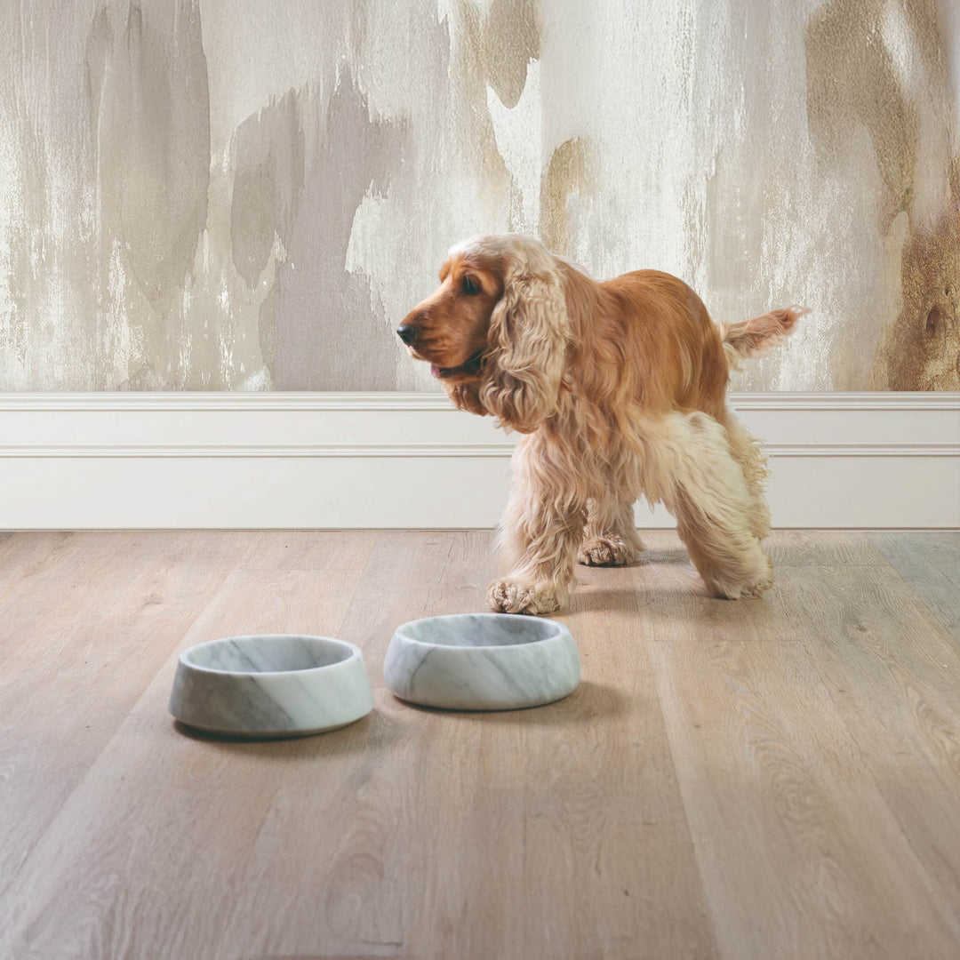 Ciotola per Animali in Marmo GEMS ONE di Valeria Pompa per Labilla