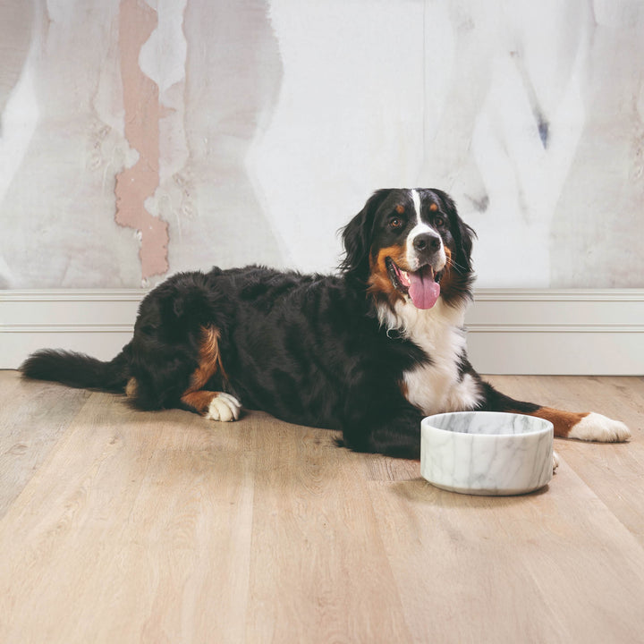 Ciotola per Animali in Marmo GEMS ONE di Valeria Pompa per Labilla