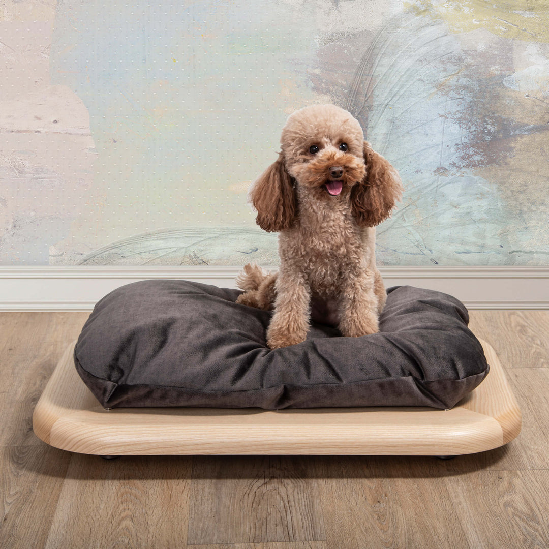 Cuccia per Animali NUVOLA di Valeria Pompa per Labilla