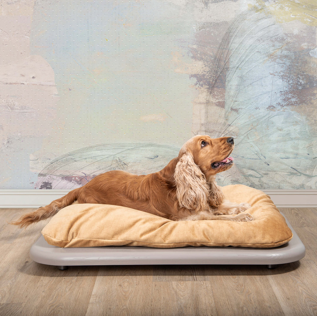 Cuccia per Animali NUVOLA di Valeria Pompa per Labilla