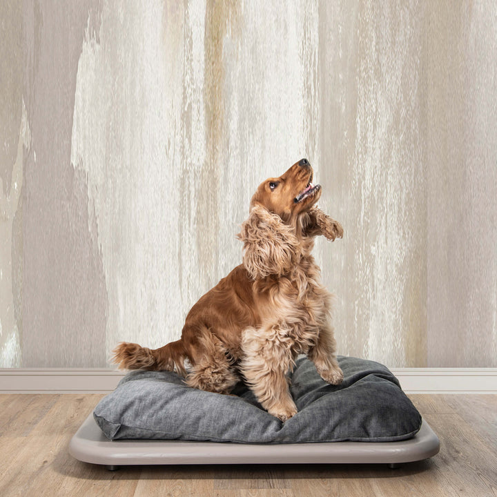 Cuccia per Animali NUVOLA di Valeria Pompa per Labilla