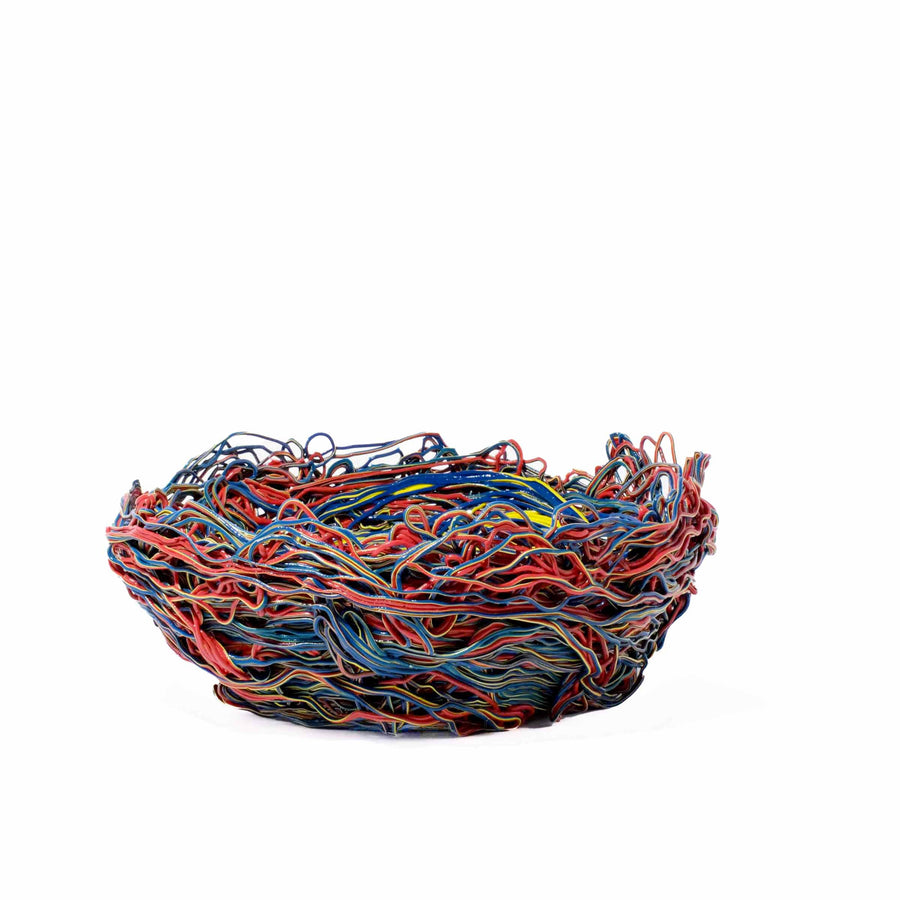 Resin Bowl TUTTI FRUTTI EXTRA COLOUR by Gaetano Pesce for Fish Design 01