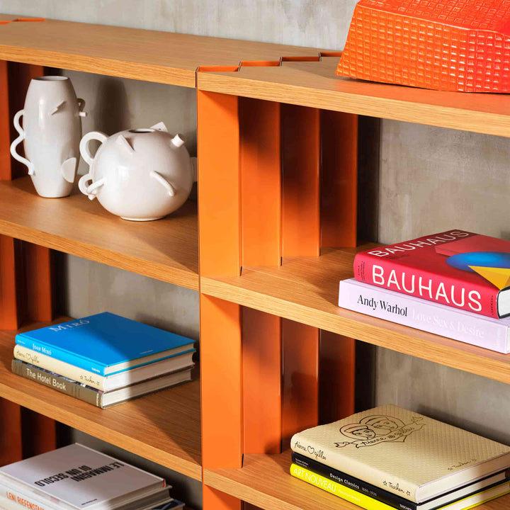 Libreria Z24 di Muller Van Severen per Zanotta