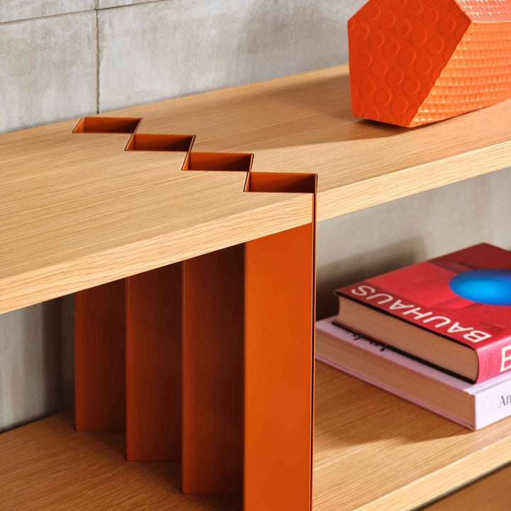 Libreria Z24 di Muller Van Severen per Zanotta