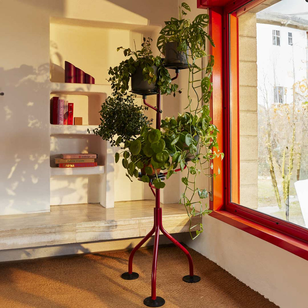 red pot plant holder Vertical Pot Holder ALBERO by Achille Castiglioni for Zanotta. Shop on Design Italy