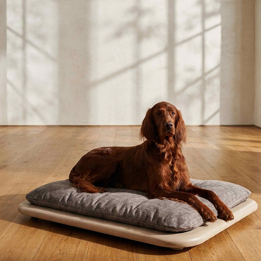 Large Pet Bed Nuvola by Labilla, grey cushion on natural base, with a brown Irish Setter lying on it