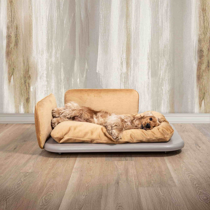 Pet Bed NUVOLA PLUS by Valeria Pompa for Labilla