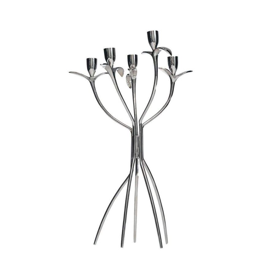 Nickel Polished Five-Branched Candleholder ANTONIETTA by Borek Sipek for Driade 01