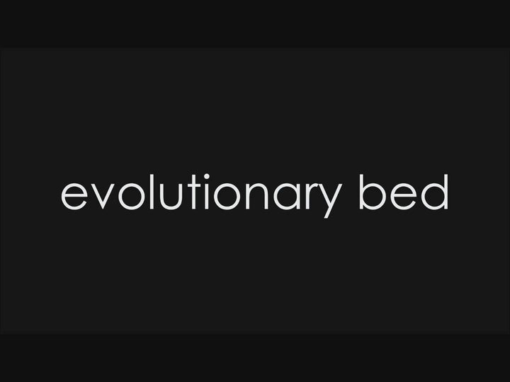 Evolution Bed, this bed grows with your child from the crib to a regular size bed - Evolwood - Design Italy