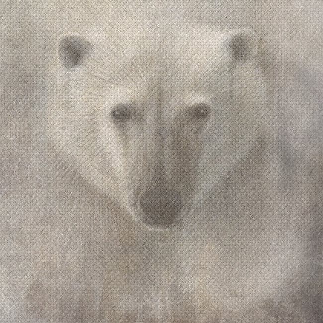 Painting on Canvas BEAR 2 01