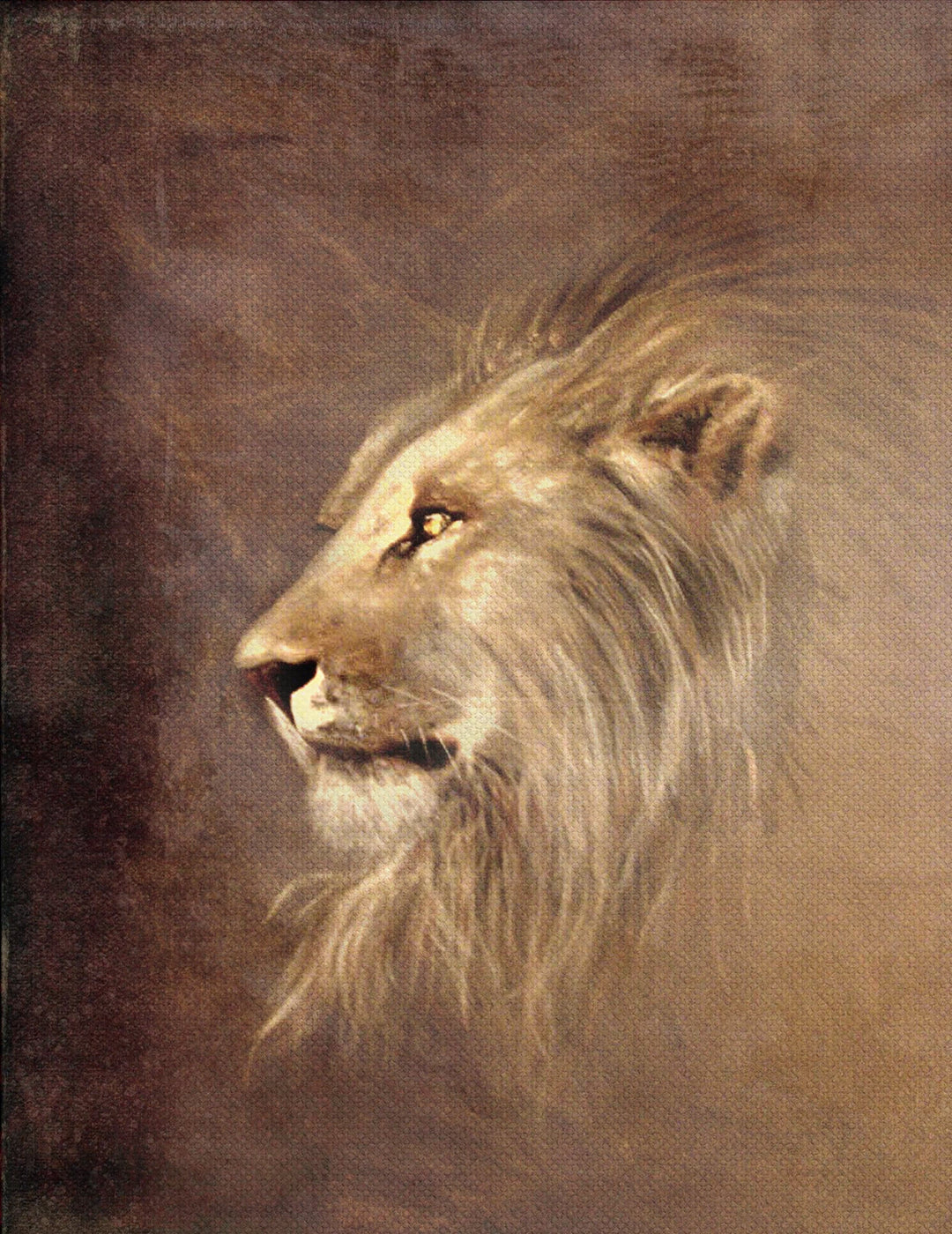 Painting on Canvas LION 2 01