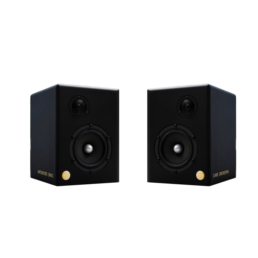 Matt Wood Loudspeakers MINOR with Amplifier - Set of Two 01