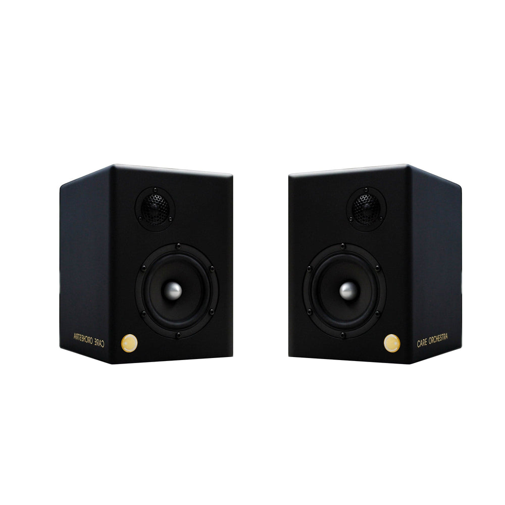 Matt Wood Loudspeakers MINOR - Set of Two 01