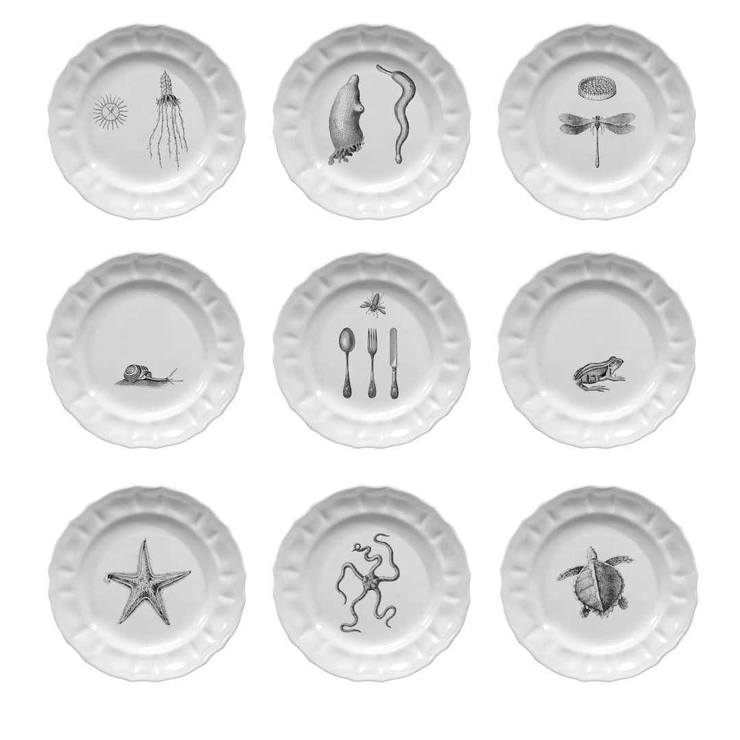 Ceramic Plates MAMMIFERI ESCLUSI Set of Nine - Limited Edition 01