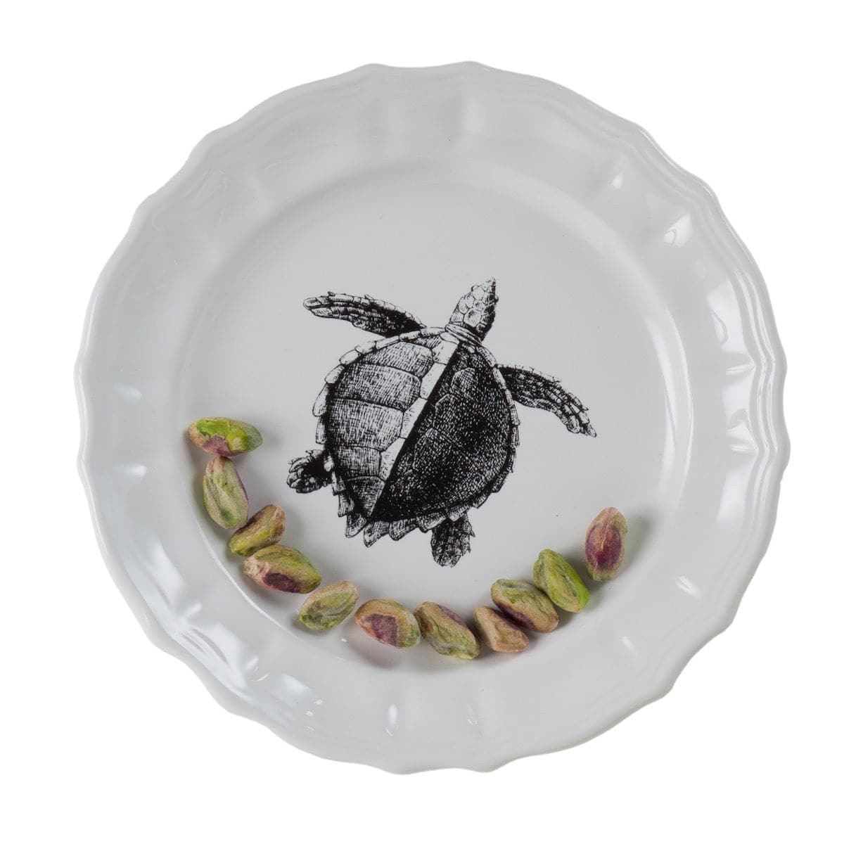 Ceramic Plates MAMMIFERI ESCLUSI Set of Nine - Limited Edition 09