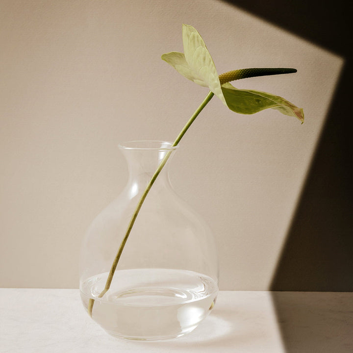 Blown Glass Carafe POLLY by Aldo Cibic for Paola C 03