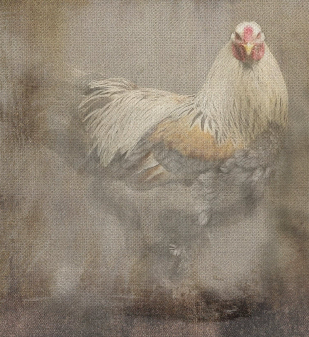 Painting on Canvas ROOSTER 1 01