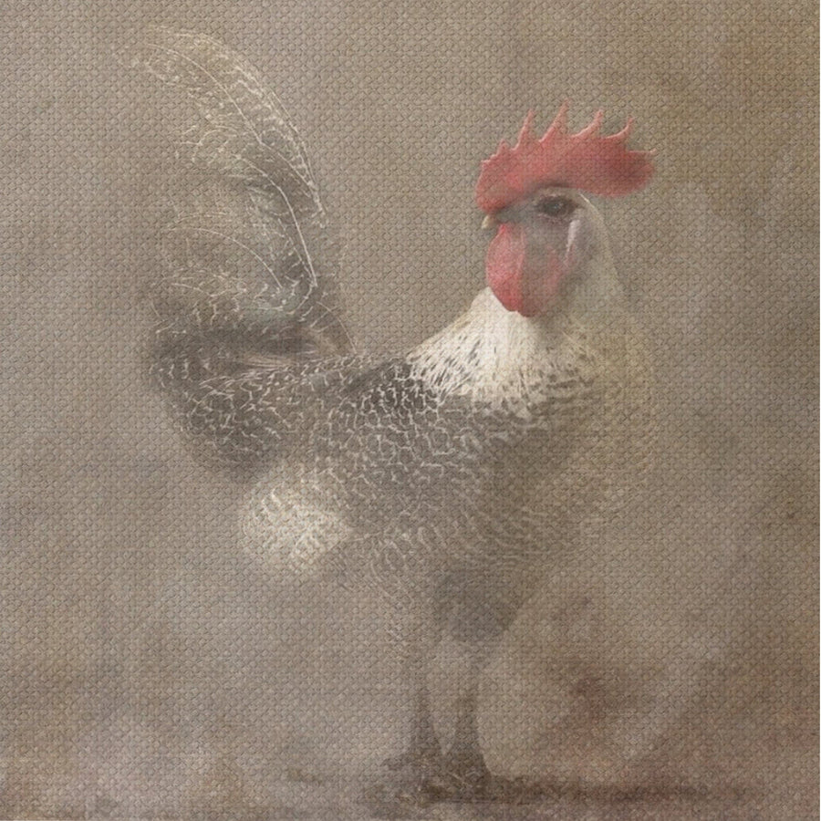 Painting on Canvas ROOSTER 2 01