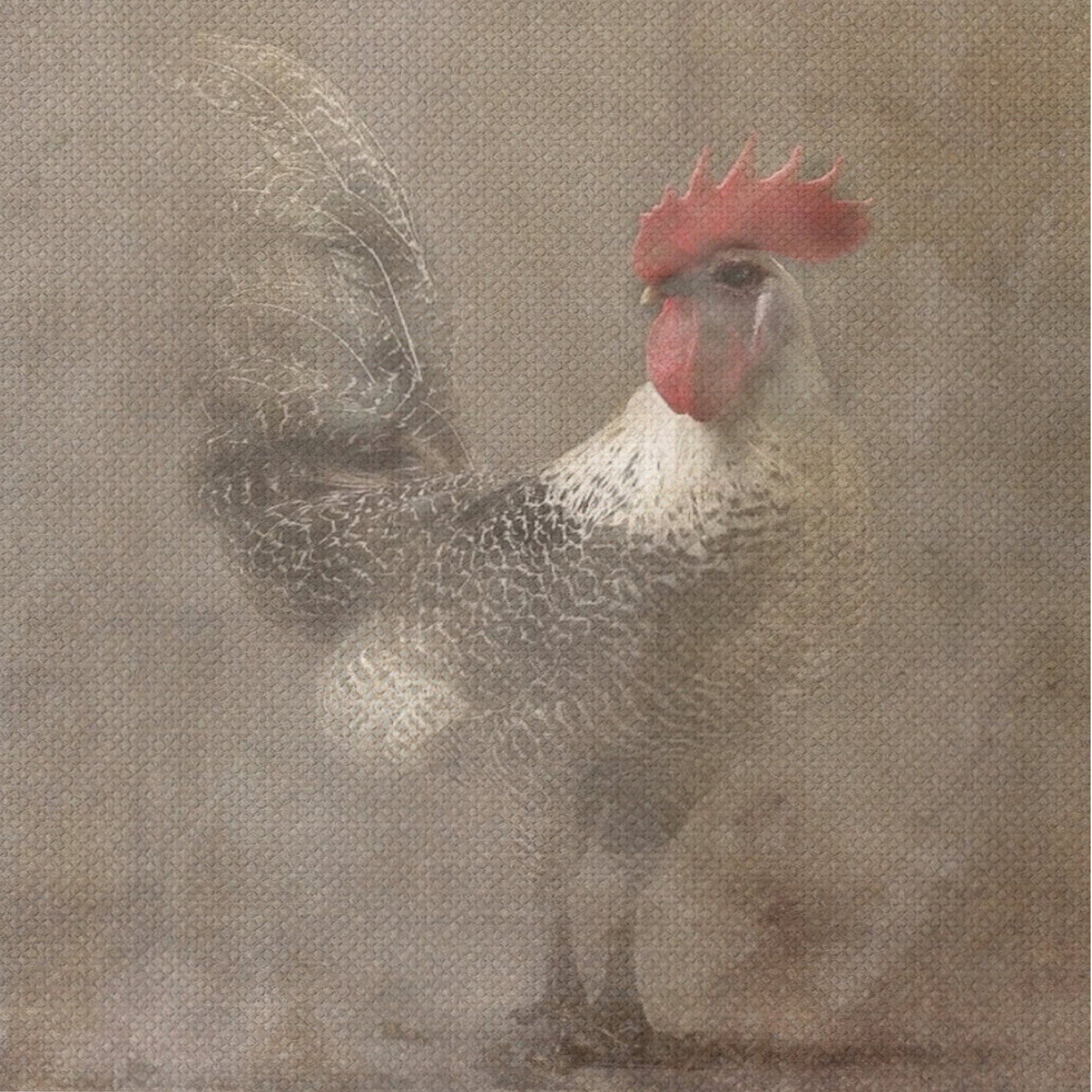 Painting on Canvas ROOSTER 2 01