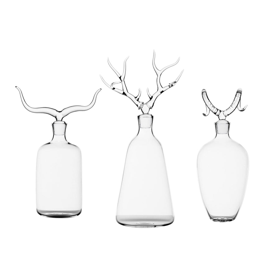 Glass Jug TROPHY BOTTLES Set of Three by Simone Crestani 01