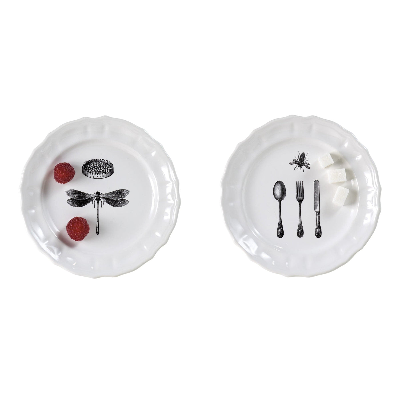 Ceramic Plates MAMMIFERI ESCLUSI Set of Six - Limited Edition 01