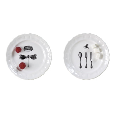 Ceramic Plates MAMMIFERI ESCLUSI Set of Six - Limited Edition 01