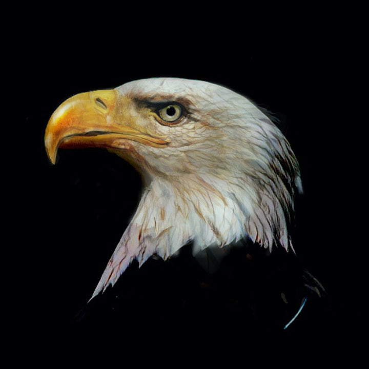 Painting on Wood EAGLE'S HEAD 01