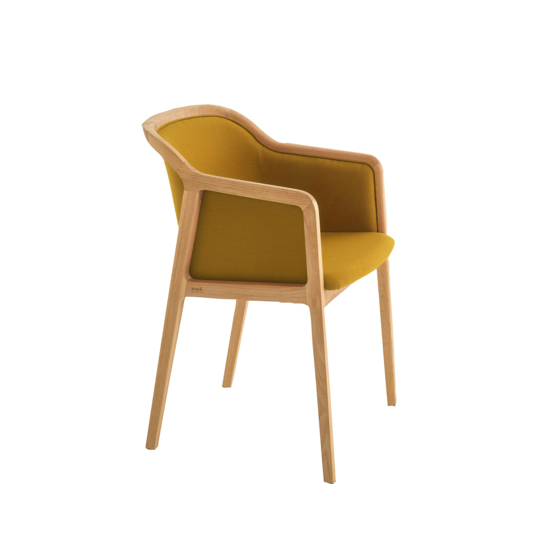 Upholstered Armchair VIENNA by Emmanuel Gallina for Colé Italia 06