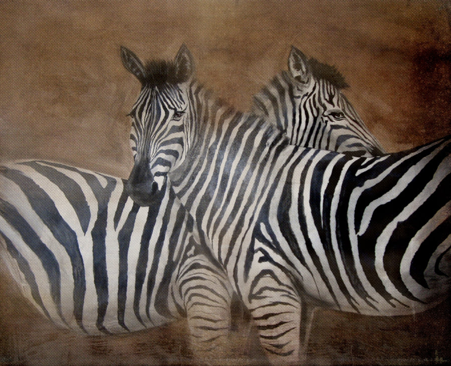 Painting on Canvas ZEBRA'S LOVE 3 01