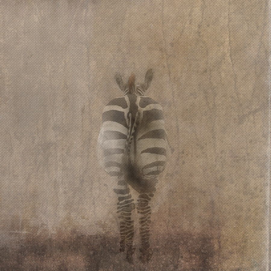 Painting on Canvas ZEBRA 6 01