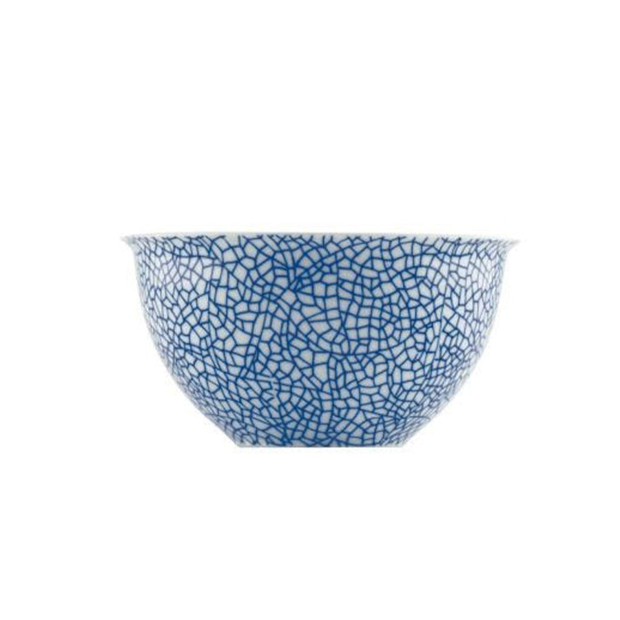 Bowl THE WHITE SNOW AGADIR by Antonia Astori and Paola Navone for Driade 01