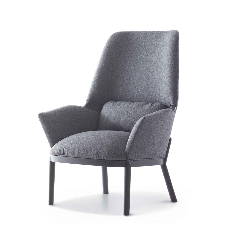 Armchair SERENA by Luca Nichetto for Arflex 01