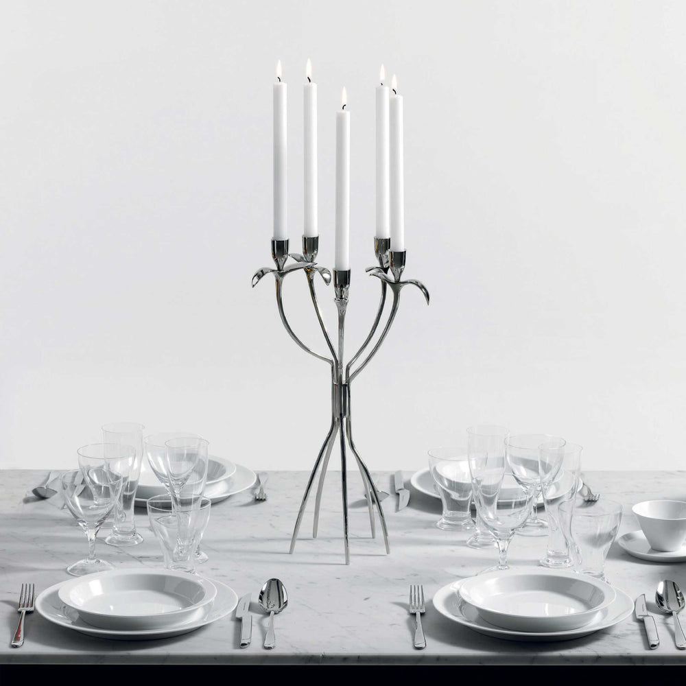 Nickel Polished Five-Branched Candleholder ANTONIETTA by Borek Sipek for Driade 02