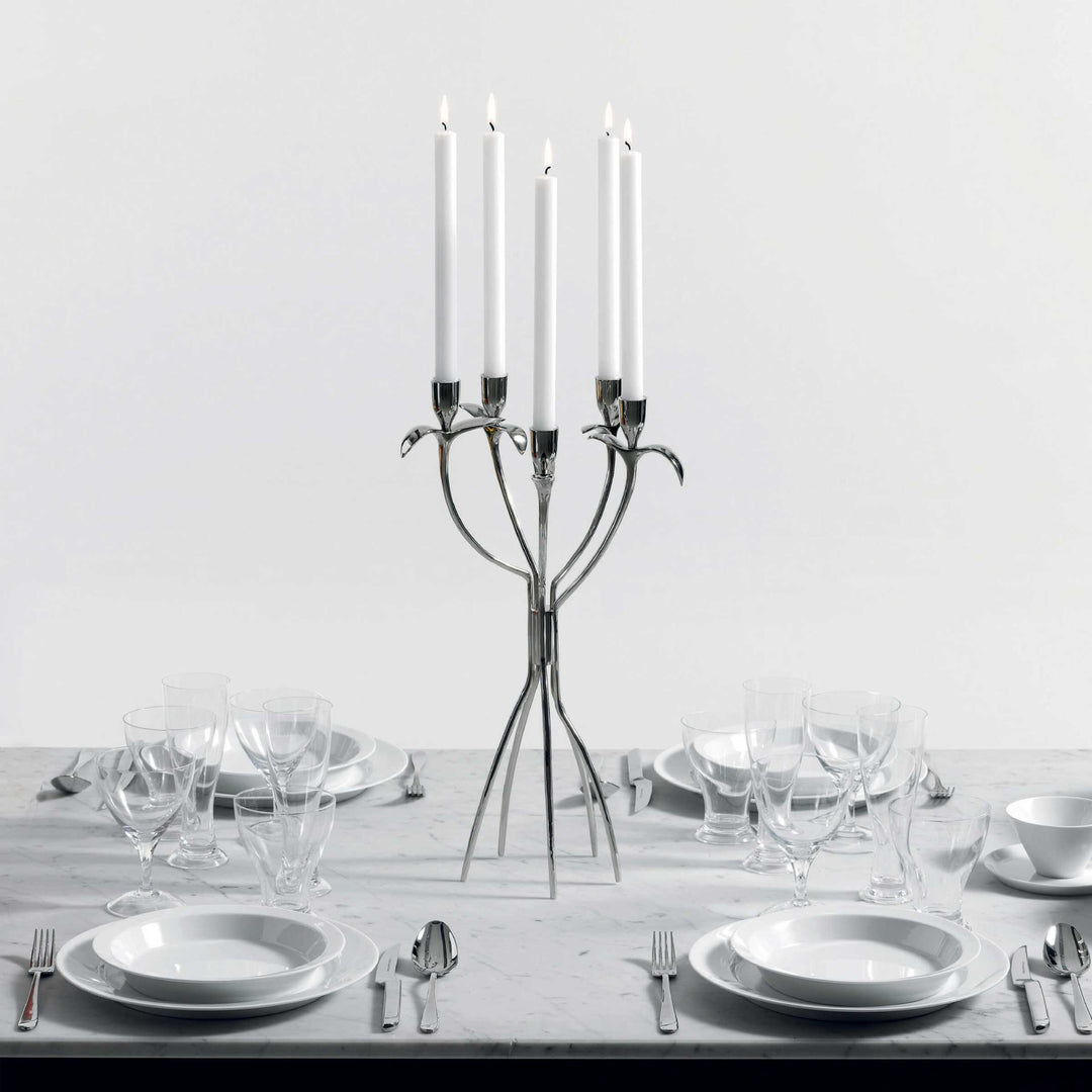 Nickel Polished Five-Branched Candleholder ANTONIETTA by Borek Sipek for Driade 02