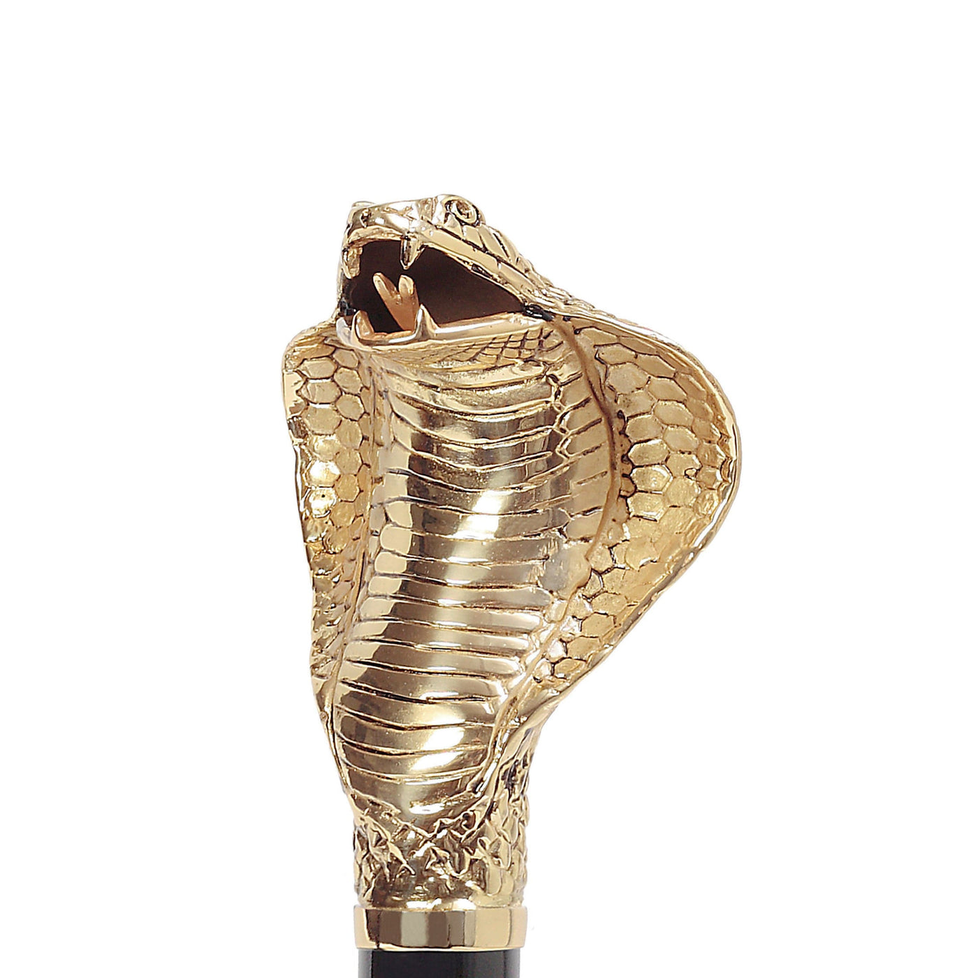 Shoehorn GOLDEN COBRA with Enameled Brass Handle 03